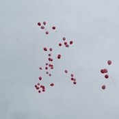 John Leithead's photo