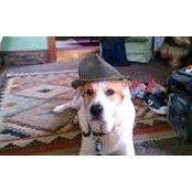 Paige Arnholt's photo