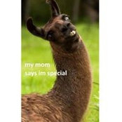 Amy Summers's photo