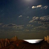 Joy Cadys foto