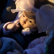 Dani Vallat's photo