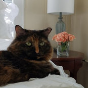 Maggie Hammock's photo