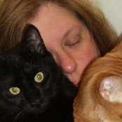 Kathy Wilson's photo