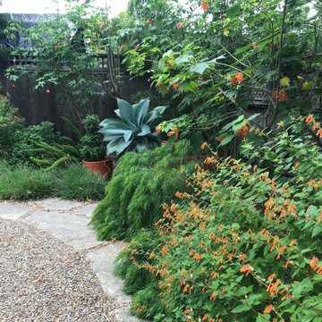 Albany Dog Friendly Garden