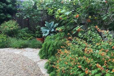 サンフランシスコにあるおしゃれな庭の写真