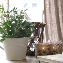 Houseplants