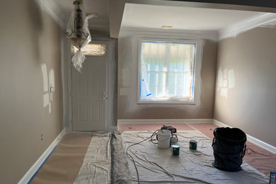 Interior Paint