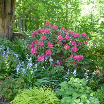 Formal Gardens - Spring in South Woodland Border