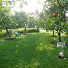 orchard