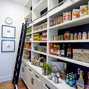 Photo of a mid-sized eclectic single-wall kitchen pantry in Dallas with recessed-panel cabinets, white cabinets, solid surface benchtops and dark hardwood floors.