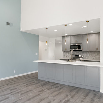 Full House Remodel Fremont JV