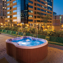 D1 Spas - Products