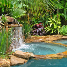 landscape by pool