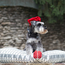 Custom Drapery - Dog Beds