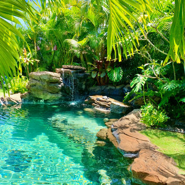 Natural Tropical Designs