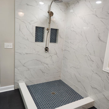 Master Bathroom Remodel