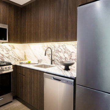 Harlem Condo Kitchen