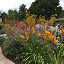 Front yard