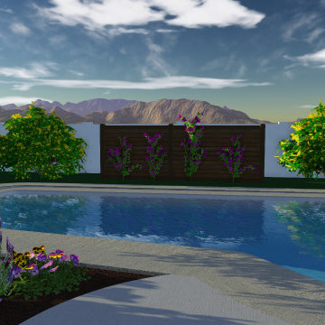 Arcadia Modern Landscape Renovation