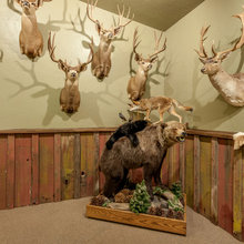 Trophy Room