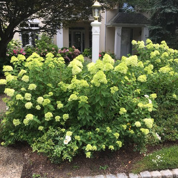 Front entryway garden in bloom