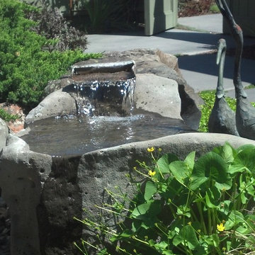 Water features