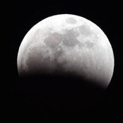 Adrienne Clay's photo