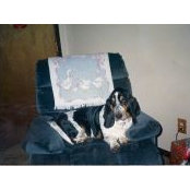 Lorrinda Ackerman's photo