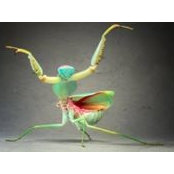 Claudia Streuling's photo