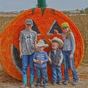 Pam Meyer's photo