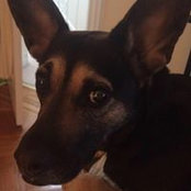 Olga HL's photo