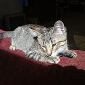 Terri Clark Wiencek's photo