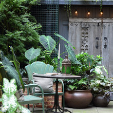 Porch Sanctuary