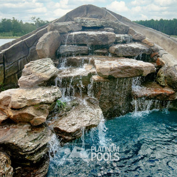 The Martens' Oasis -