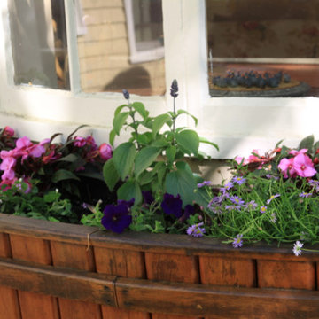 Seasonal Container Plantings & Changeovers