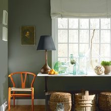 Paint color