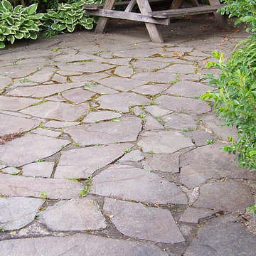 Garden Rebuild - Before