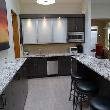 Modern Kitchen Renovation