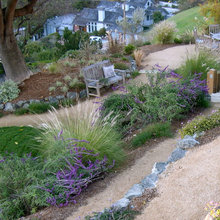 Landscape Ideas