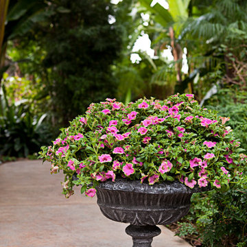 French Urn