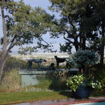 The Cheetah Garden