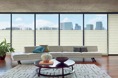 Home design - transitional home design idea in Denver