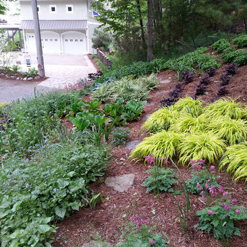 Duneside Shade Garden