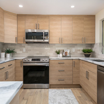 Edmonds Full House Remodel