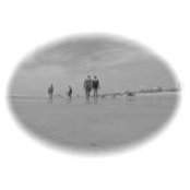 Zeke Sickinger's photo