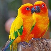 Tracy Nikkel's photo