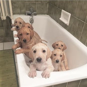 perbean's photo