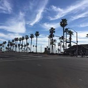 Naomi Yamamoto's photo