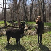 Jill Haefele's photo