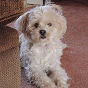 Diane Mills's photo